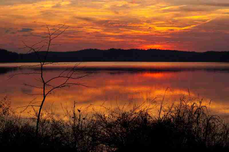 camping near murray ky​